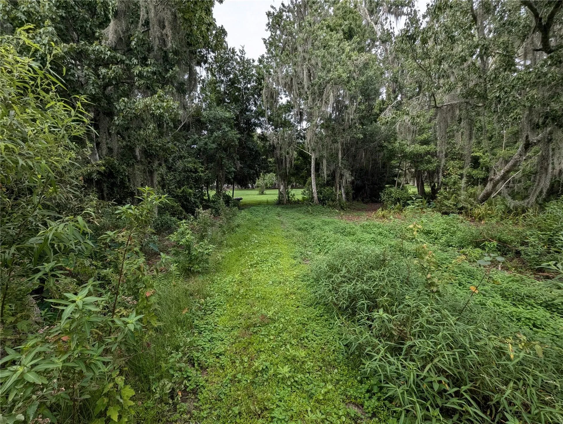 18302 Hanna Road Lutz FL 33549