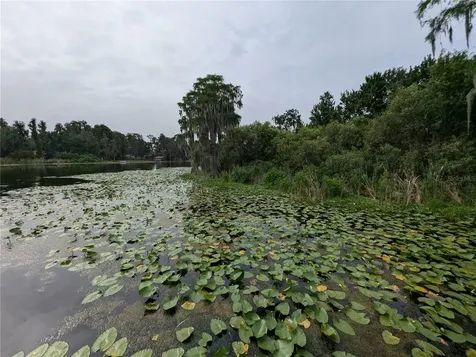 18302 Hanna Road Lutz FL 33549