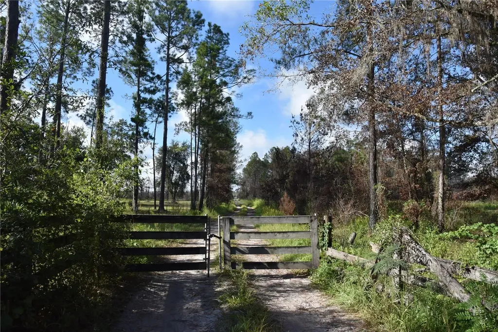 Off Highway 225 Gainesville FL 32609