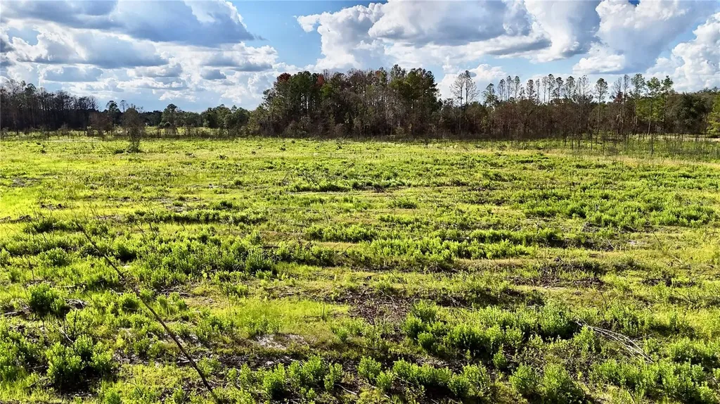 Off Highway 225 Gainesville FL 32609