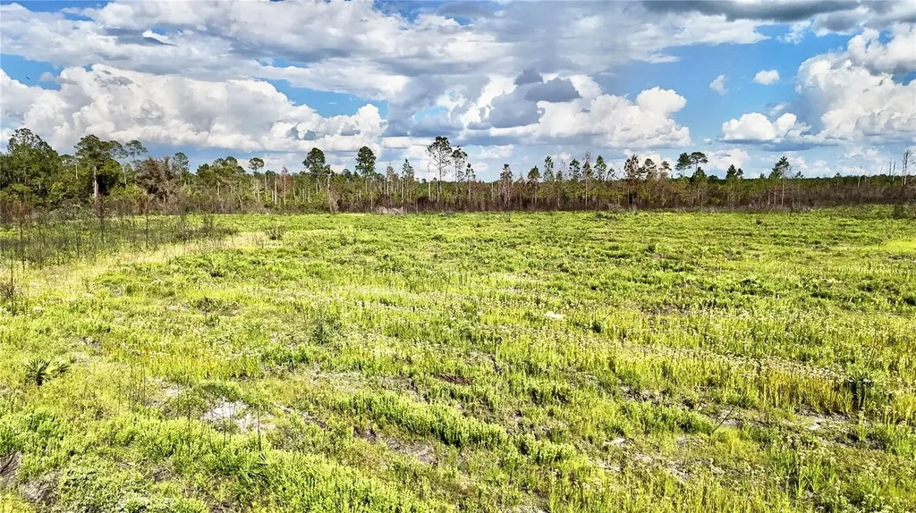 Off Highway 225 Gainesville FL 32609