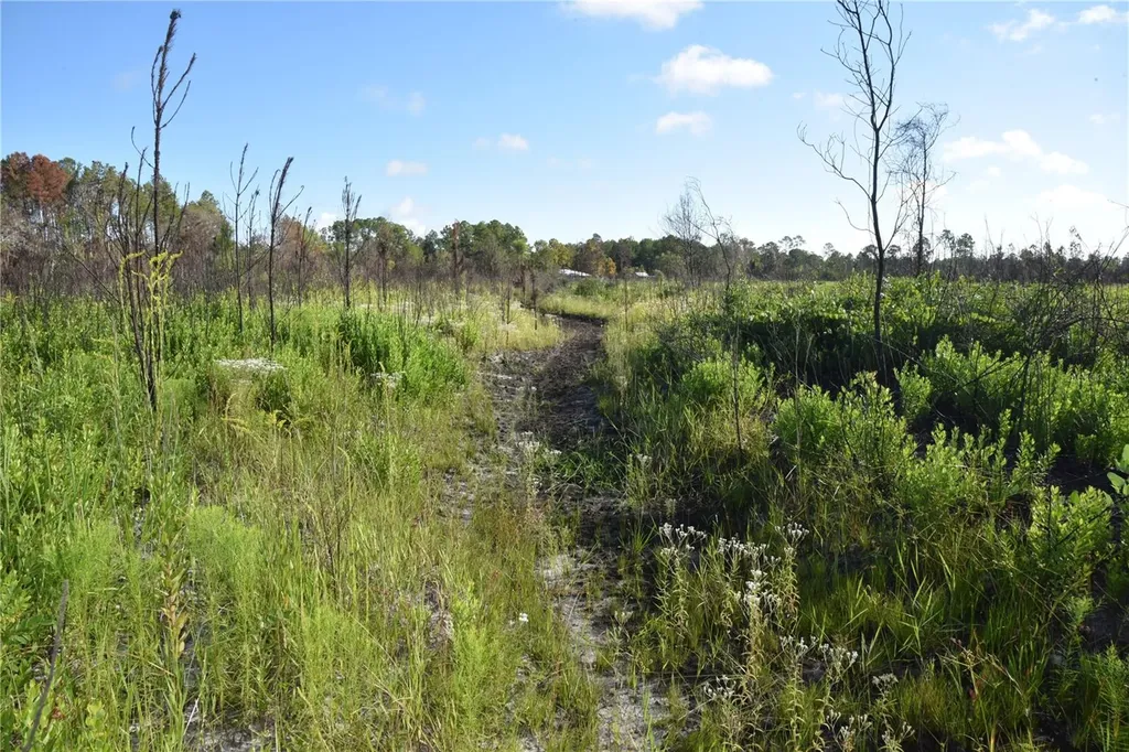Off Highway 225 Gainesville FL 32609