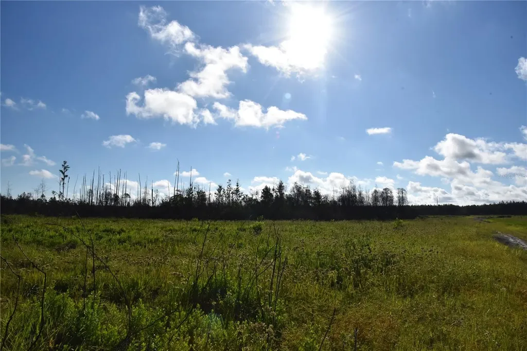 Off Highway 225 Gainesville FL 32609