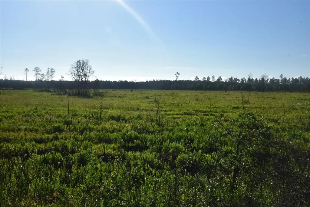 Off Highway 225 Gainesville FL 32609