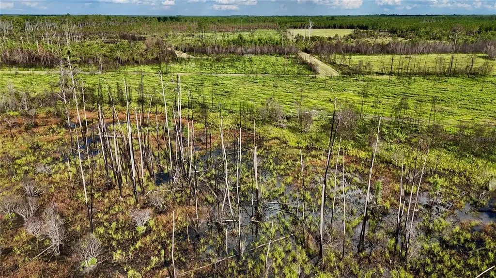Off Highway 225 Gainesville FL 32609