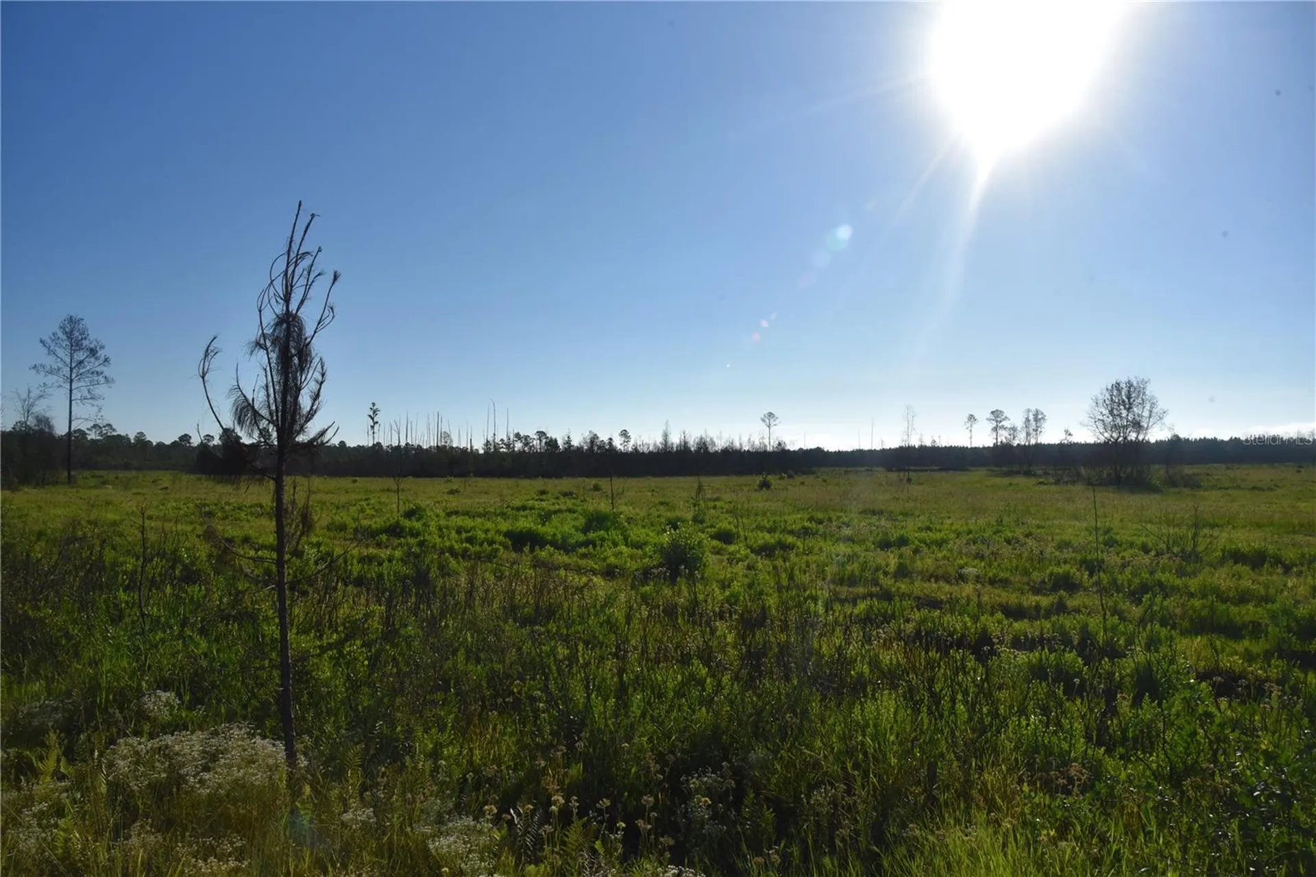 Off Highway 225 Gainesville FL 32609
