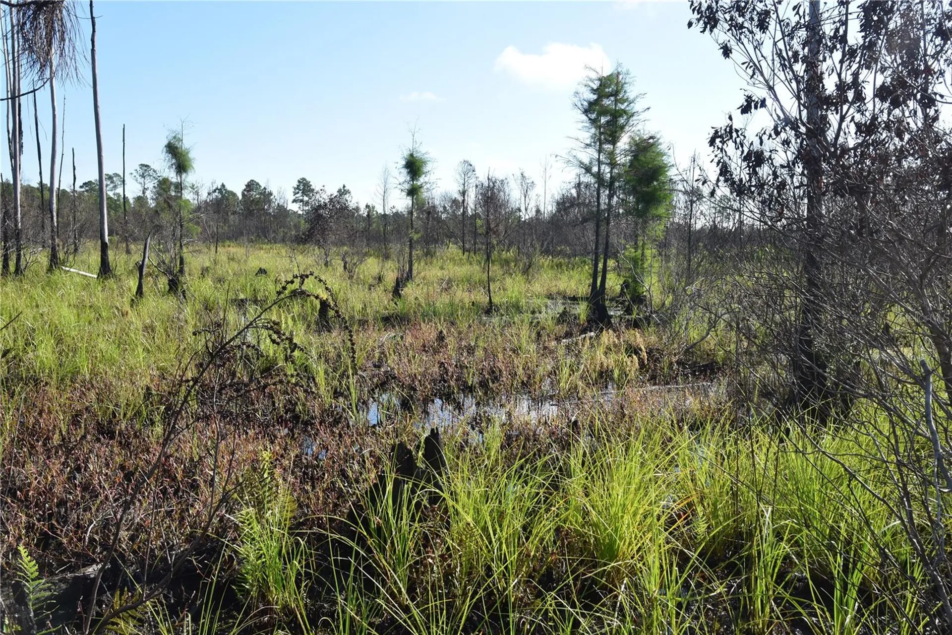 Off Highway 225 Gainesville FL 32609