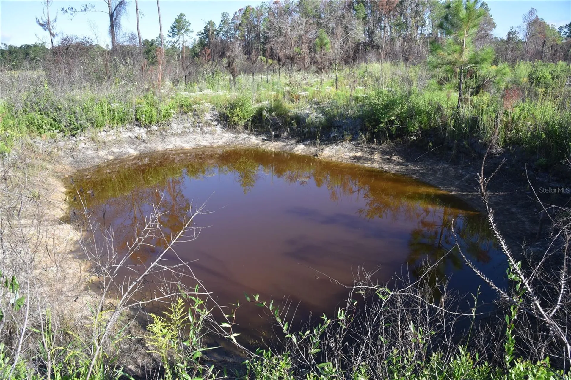 Off Highway 225 Gainesville FL 32609