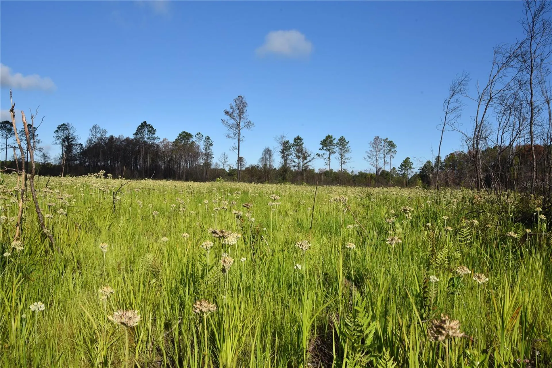 Off Highway 225 Gainesville FL 32609