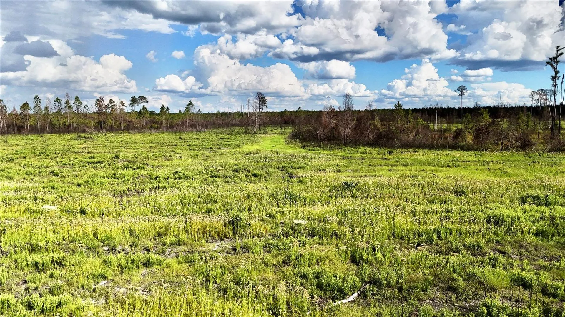 Off Highway 225 Gainesville FL 32609