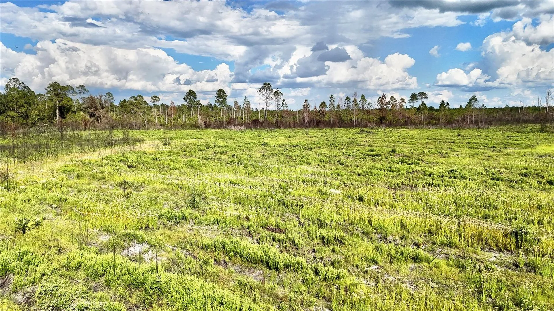 Off Highway 225 Gainesville FL 32609