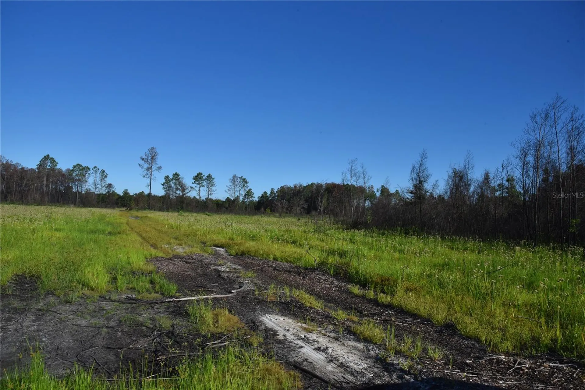 Off Highway 225 Gainesville FL 32609