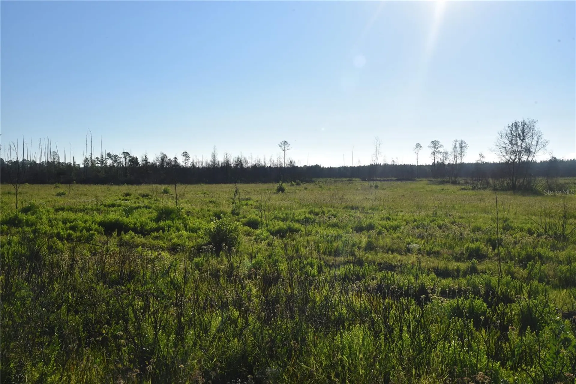 Off Highway 225 Gainesville FL 32609