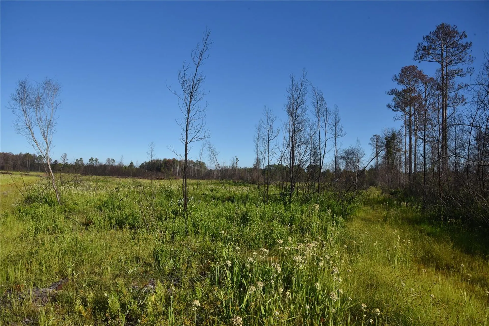 Off Highway 225 Gainesville FL 32609