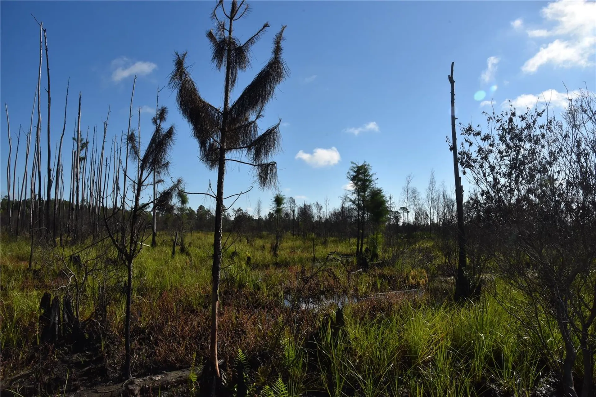 Off Highway 225 Gainesville FL 32609
