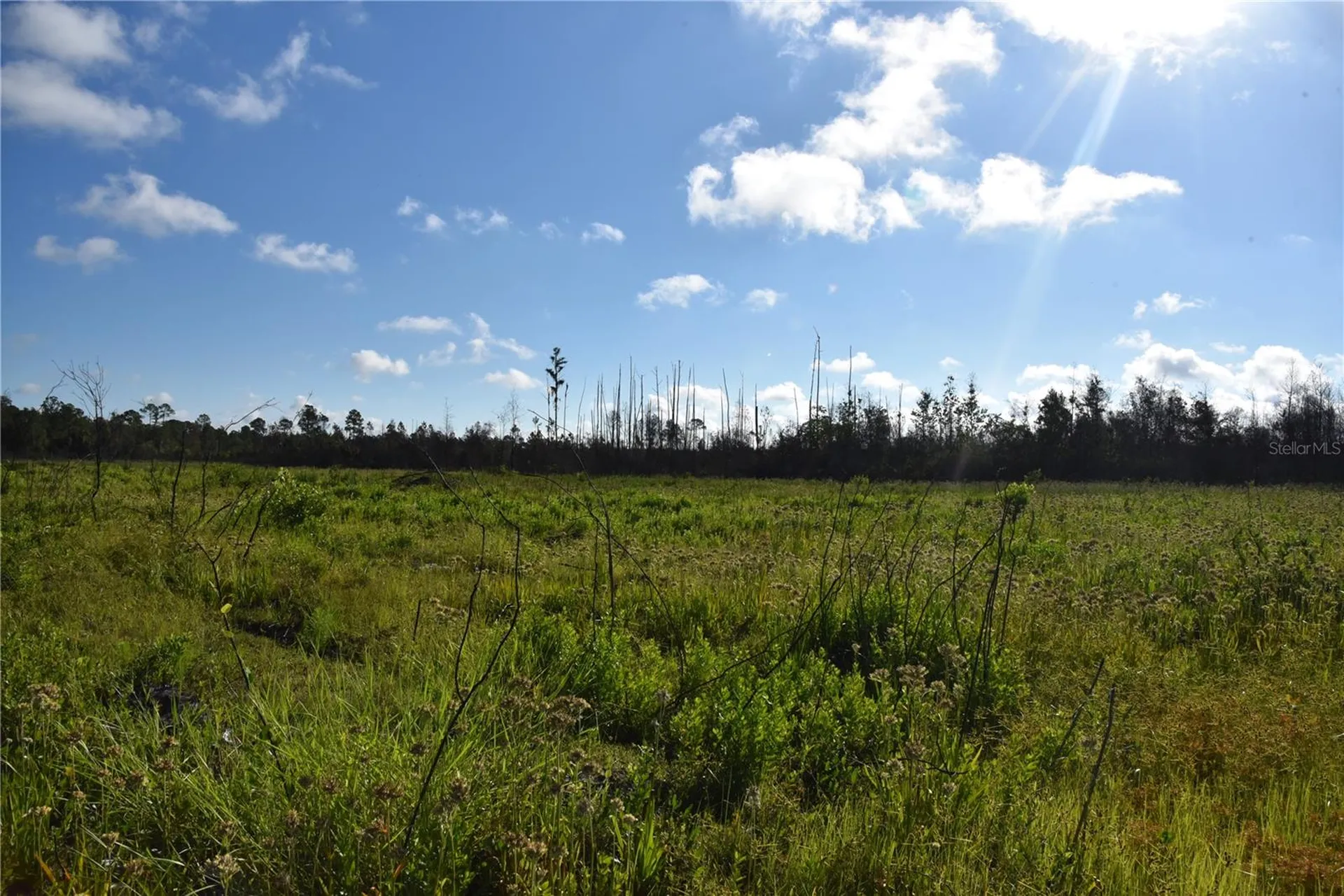 Off Highway 225 Gainesville FL 32609