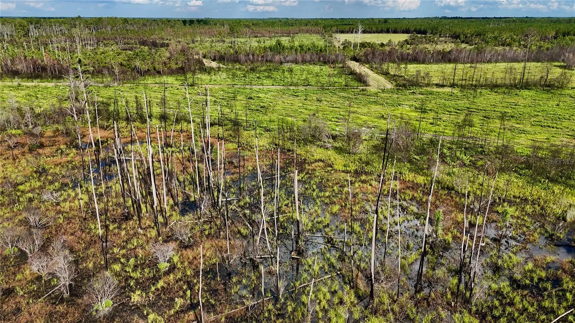 Off Highway 225 Gainesville FL 32609