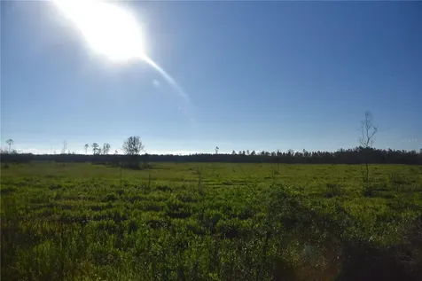 Off Highway 225 Gainesville FL 32609
