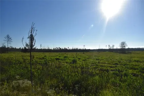 Off Highway 225 Gainesville FL 32609