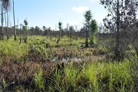 Off Highway 225 Gainesville FL 32609