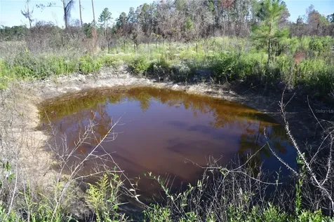 Off Highway 225 Gainesville FL 32609