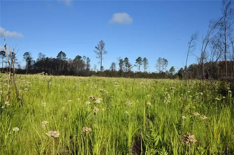 Off Highway 225 Gainesville FL 32609