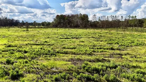 Off Highway 225 Gainesville FL 32609