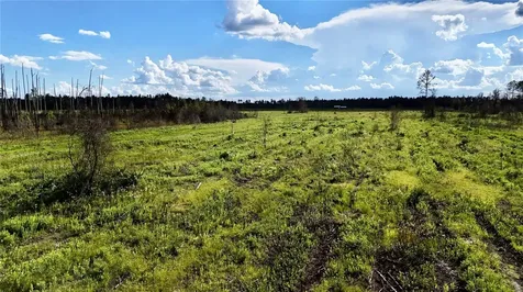 Off Highway 225 Gainesville FL 32609