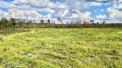 Off Highway 225 Gainesville FL 32609