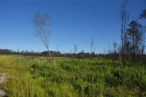 Off Highway 225 Gainesville FL 32609