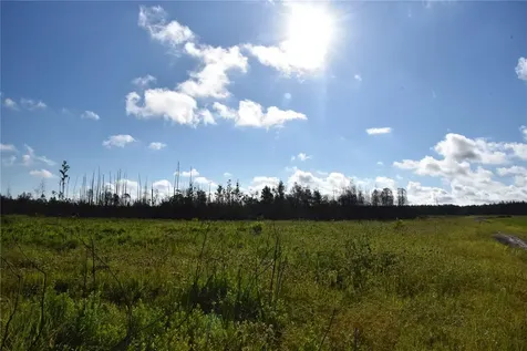 Off Highway 225 Gainesville FL 32609
