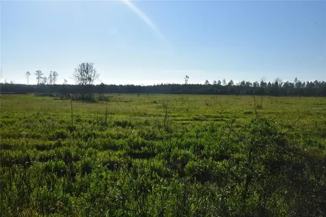Off Highway 225 Gainesville FL 32609