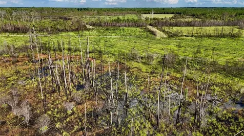 Off Highway 225 Gainesville FL 32609