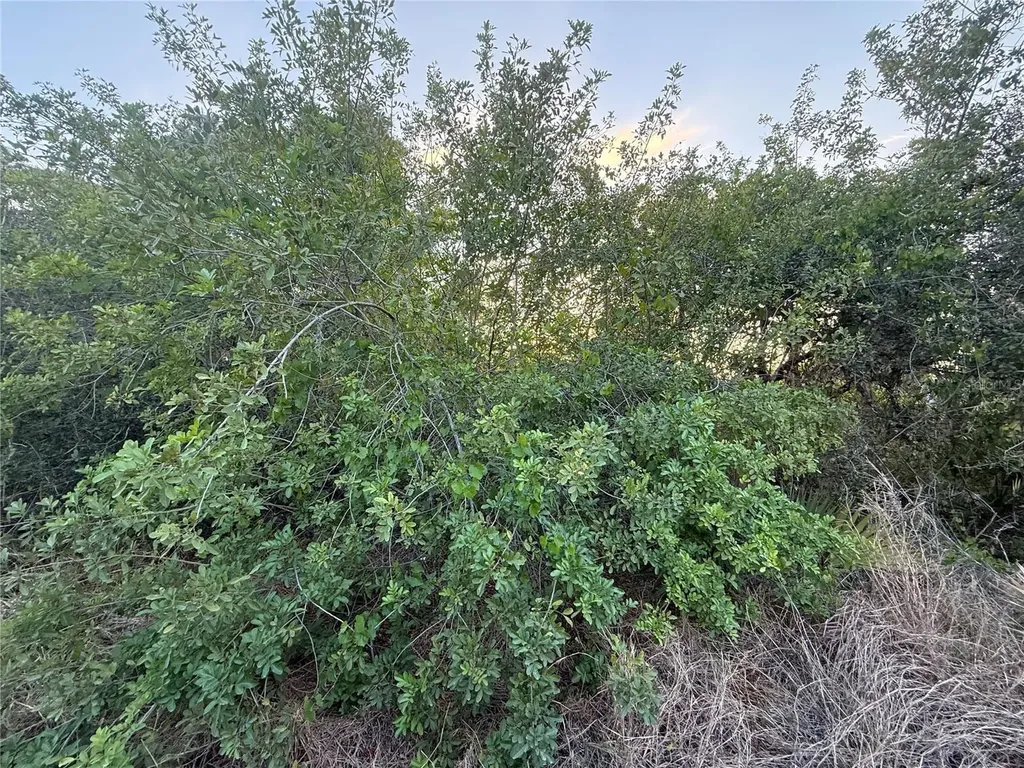 146 Patton Avenue Lake Placid FL 33852