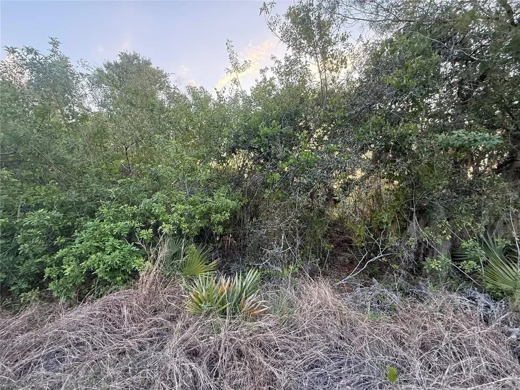 146 Patton Avenue Lake Placid FL 33852