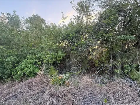 146 Patton Avenue Lake Placid FL 33852
