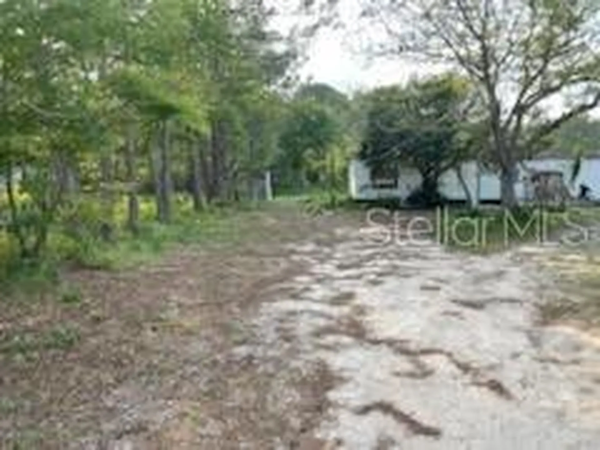 10725 Demille Road Polk City FL 33868