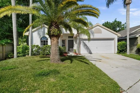 4502 Wild Plum Lane Lutz FL 33558