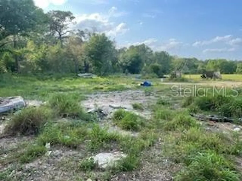 10725 Demille Road Polk City FL 33868