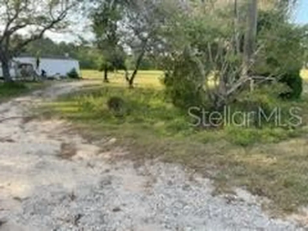 10725 Demille Road Polk City FL 33868