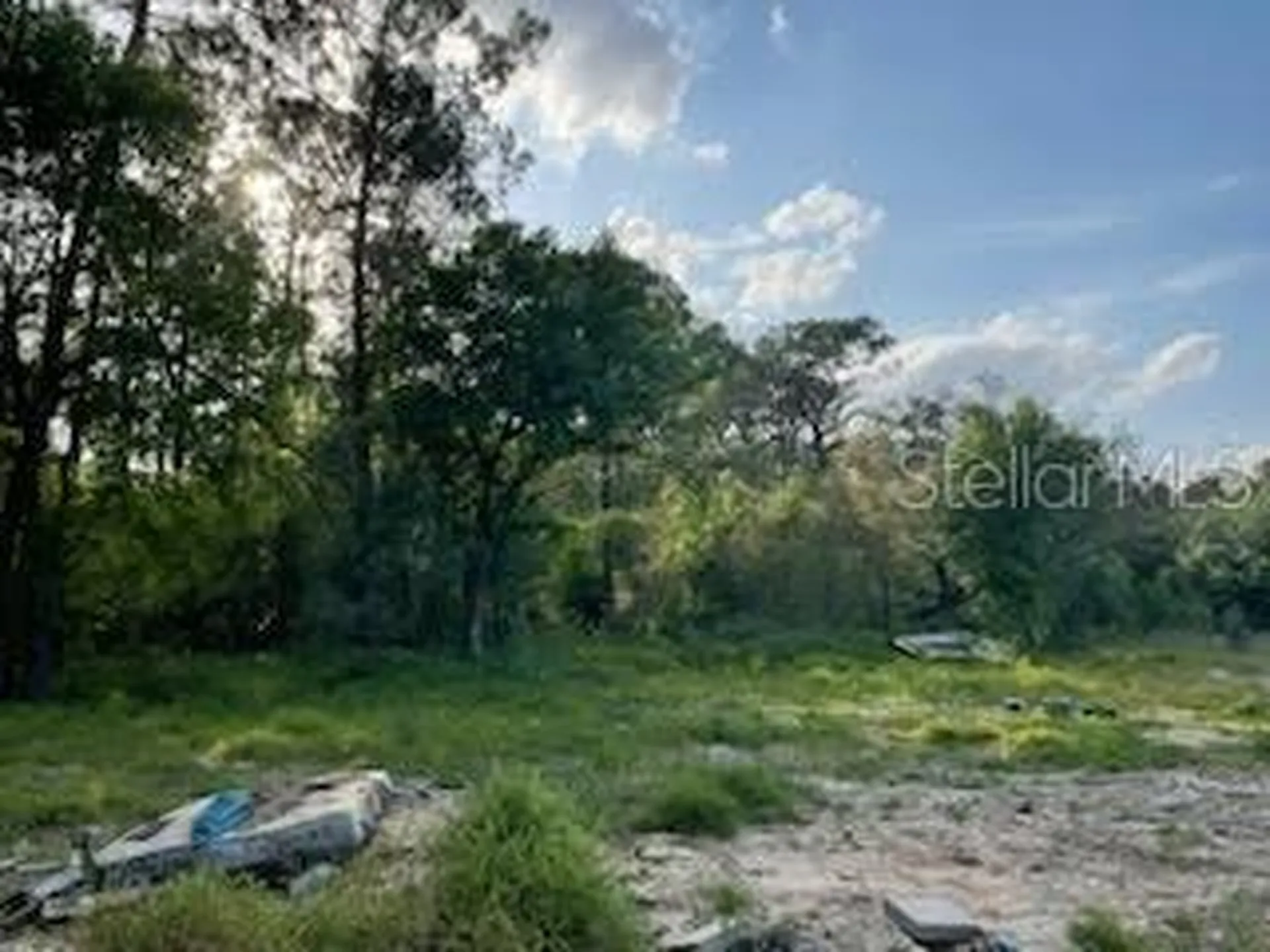 10725 Demille Road Polk City FL 33868