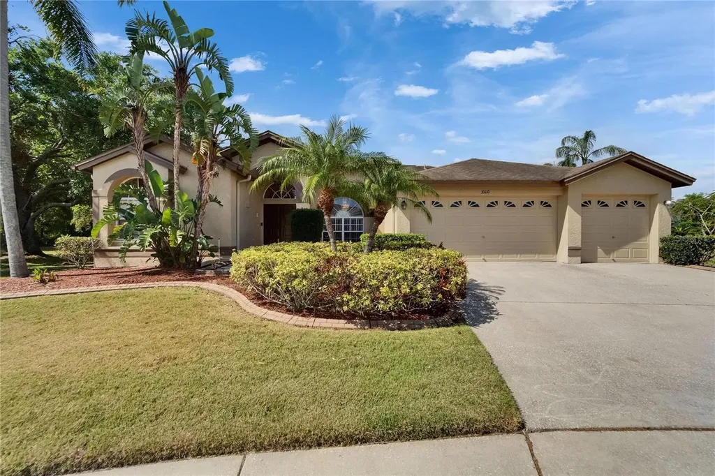 10110 Vista Pointe Drive Tampa FL 33635