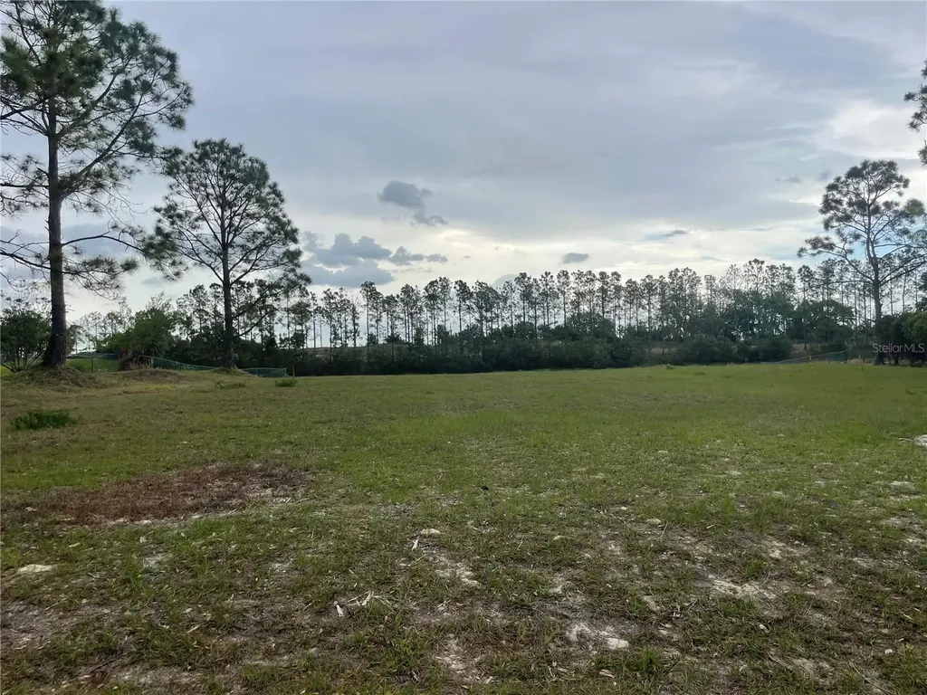 Lake Denise Boulevard Clermont FL 34711