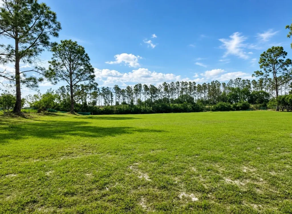 Lake Denise Boulevard Clermont FL 34711
