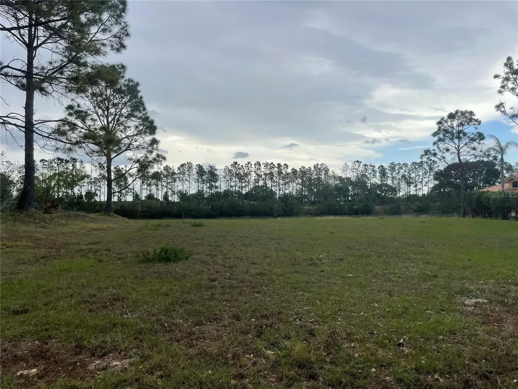 Lake Denise Boulevard Clermont FL 34711