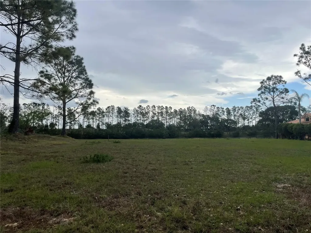 Lake Denise Boulevard Clermont FL 34711