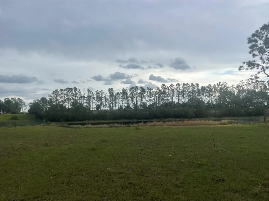 Lake Denise Boulevard Clermont FL 34711