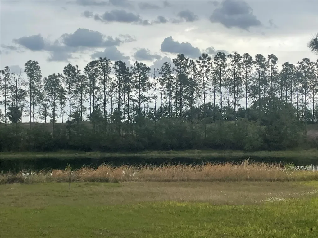 Lake Denise Boulevard Clermont FL 34711