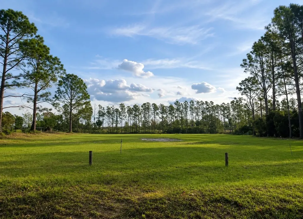 Lake Denise Boulevard Clermont FL 34711