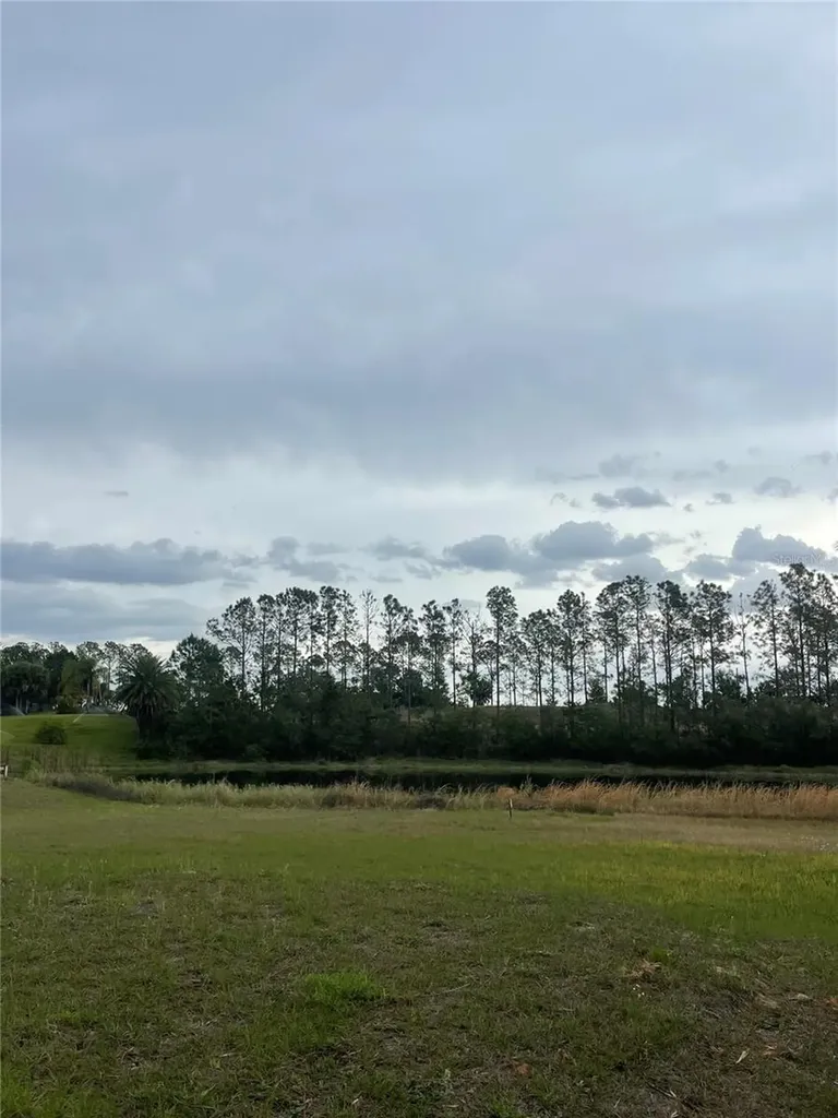 Lake Denise Boulevard Clermont FL 34711